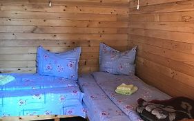 Elga'S Punk Rock Hostel